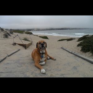 Meet your Posher, Rebecca